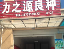綿陽市力之源種業良種部